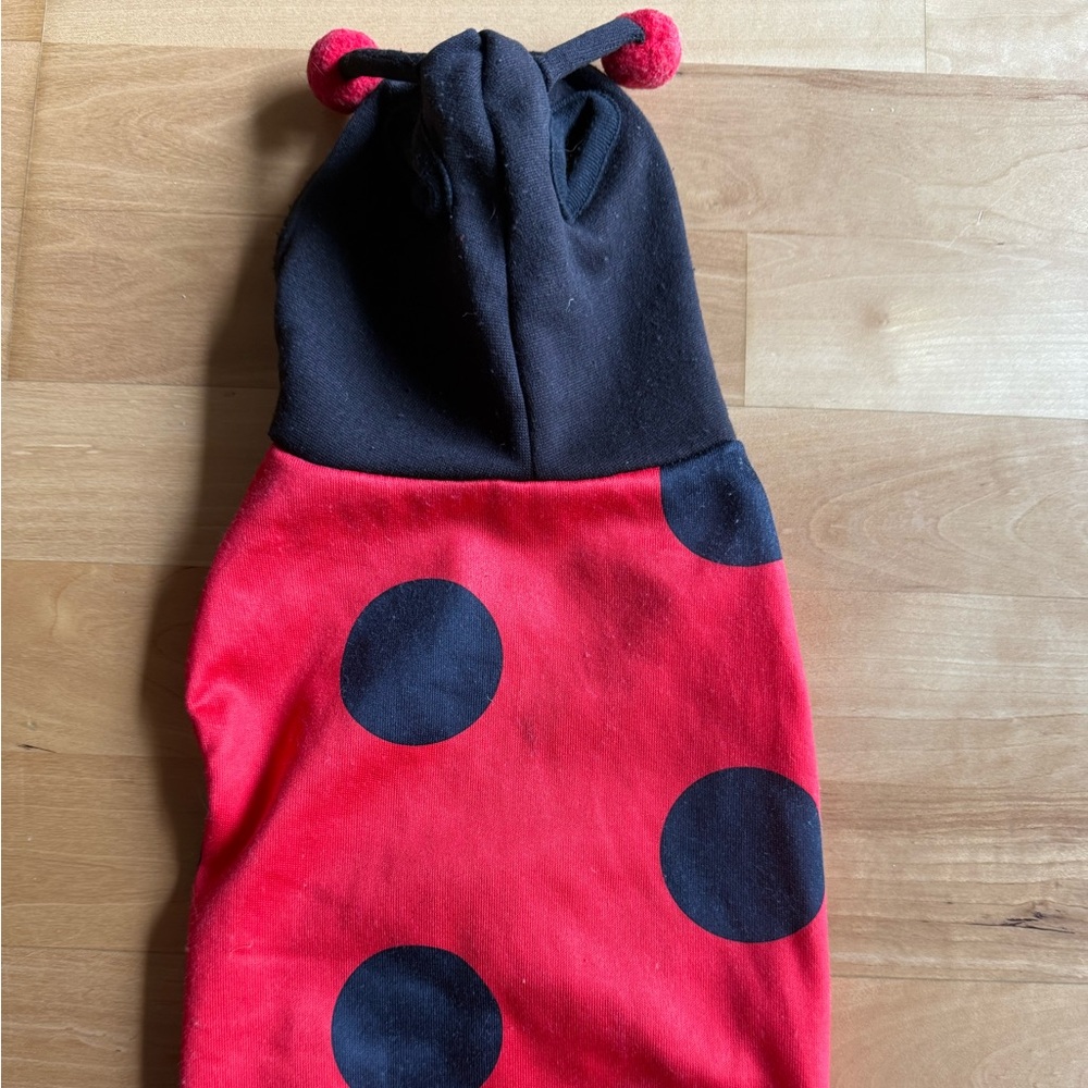 Red and Black Lady Bug Dog Costume